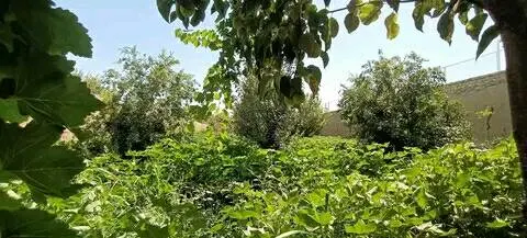 Garden land for sale, 757 m², Bagh-e Ustad Atta Mohammad Noor Road (2)