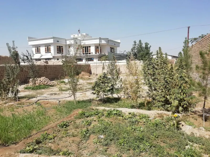 2-storey house for sale, 11 rooms, 4.5 biswa, Gas Group, District 19, Kabul (2)