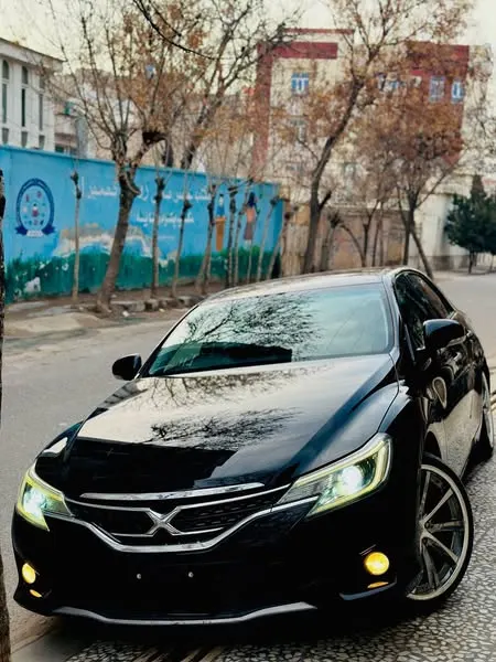Toyota Mark X 2014 (1)