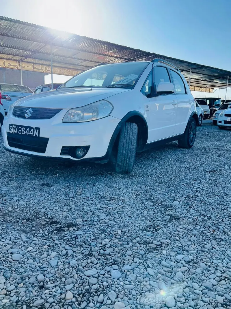 Suzuki 2009 (2)