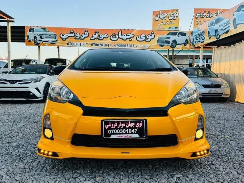 Toyota 2013 (1)