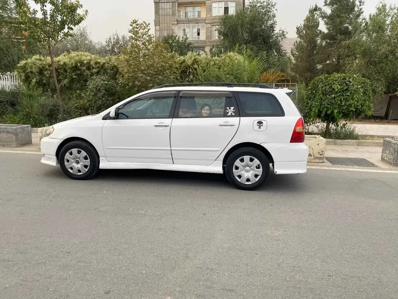 Toyota Fielder 2002 (2)