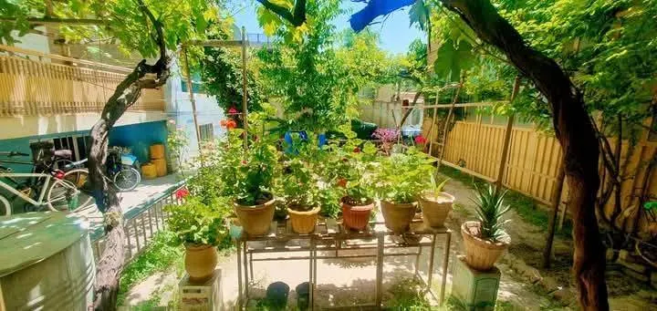 3-storey house for sale, 12 rooms, 315 area, District 11, Kabul (2)