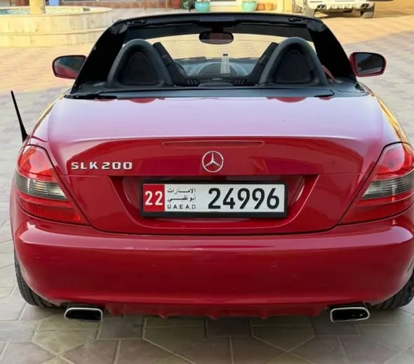 Mercedes-Benz 2009 (2)