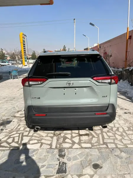 Toyota RAV4 2019 (3)