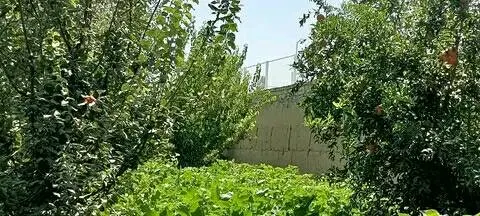 Garden land for sale, 757 m², Bagh-e Ustad Atta Mohammad Noor Road (4)