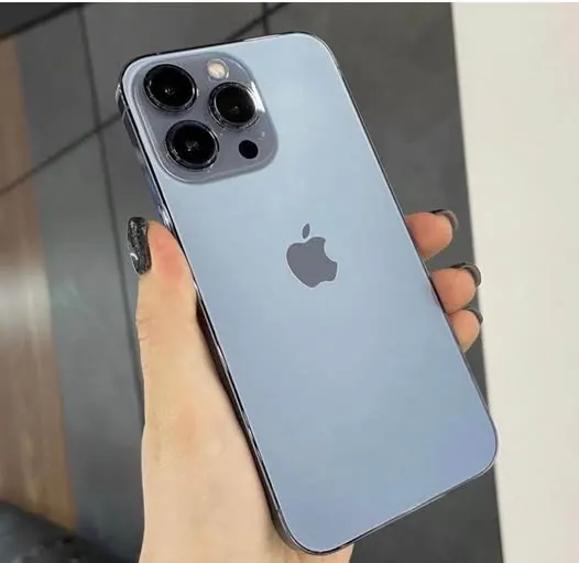 iPhone 13 Pro Max (1)
