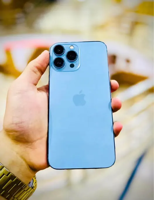 iPhone 13 Pro Max (1)