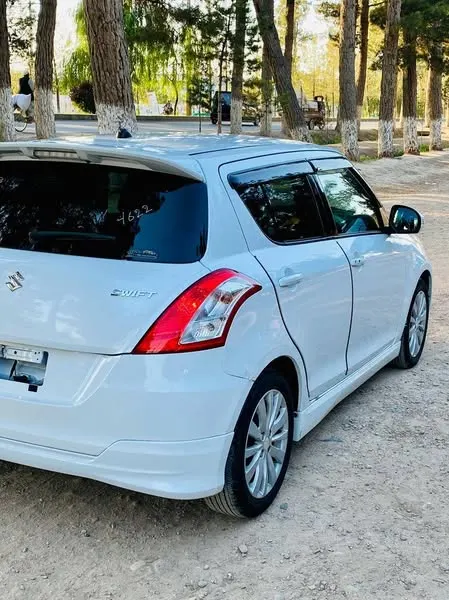 Suzuki 2013 (3)