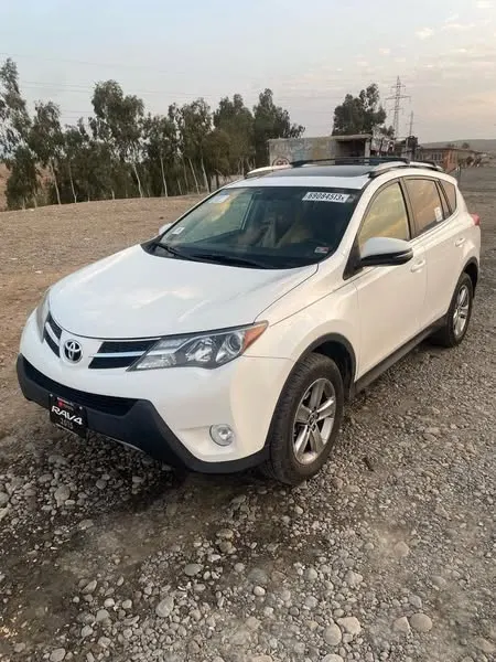 Toyota RAV4 XLE 2015 (1)