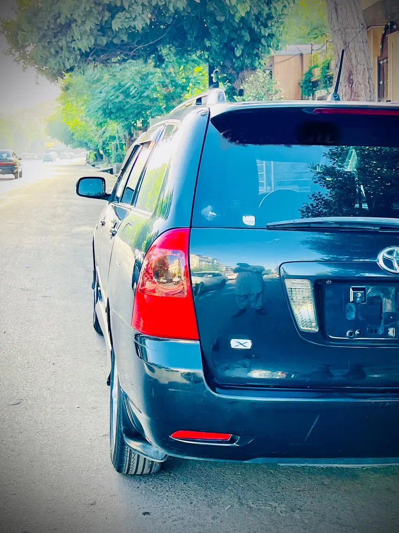Toyota Fielder 2005 (5)