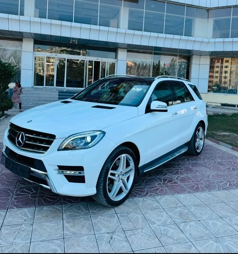 Mercedes-Benz 2015 (2)
