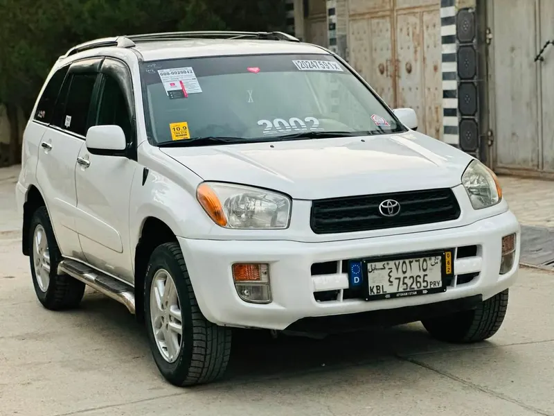 Toyota RAV4 2002 (1)