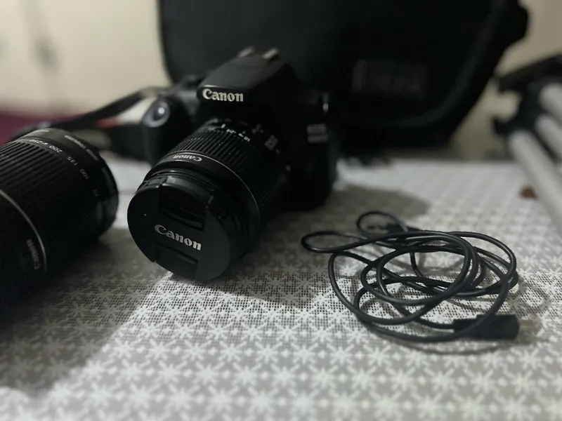 Canon D1200 (3)