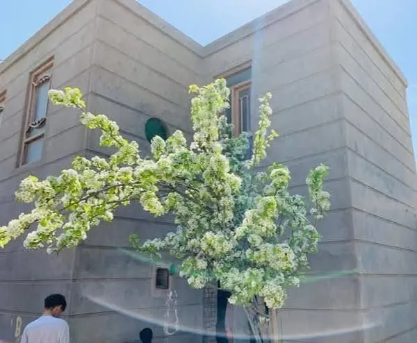 House for sale, 4 rooms, 450 m², Sherabad, Mazar-i-Sharif (2)