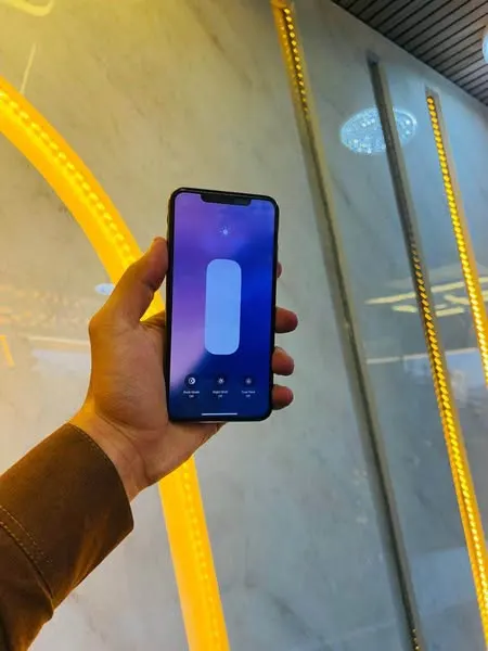 iPhone XS Max (2)