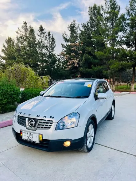 Nissan 2010 (1)