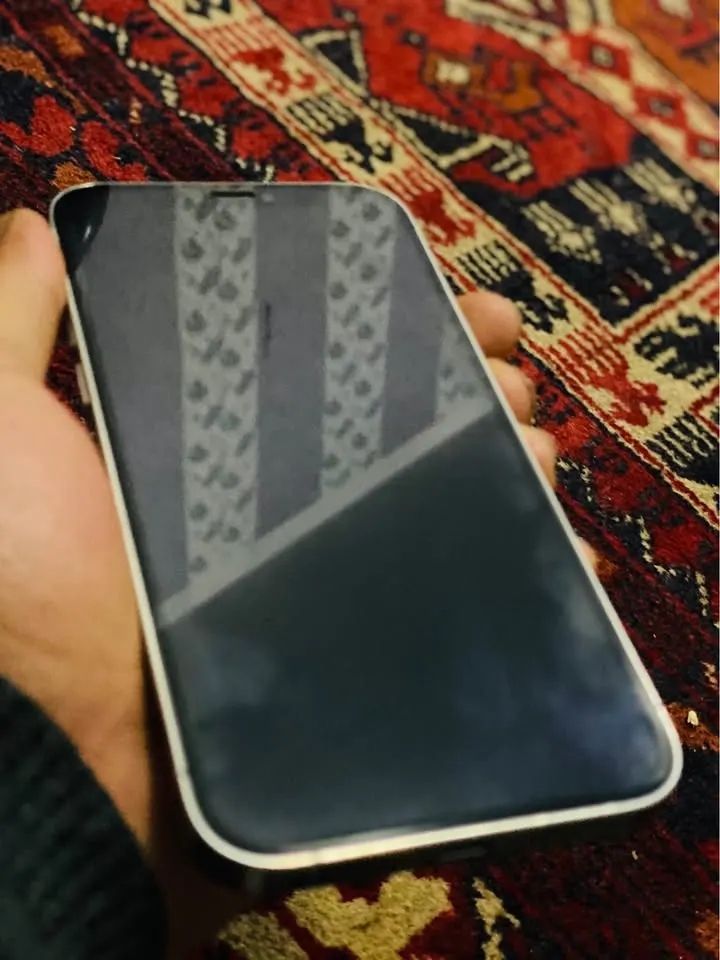 iPhone 12 Pro (2)