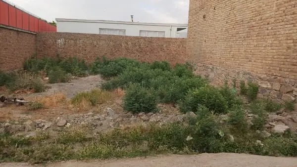 د پلورنې ځمکه، 130 m²، سر آسیا، ناحیه 6، کابل (1)