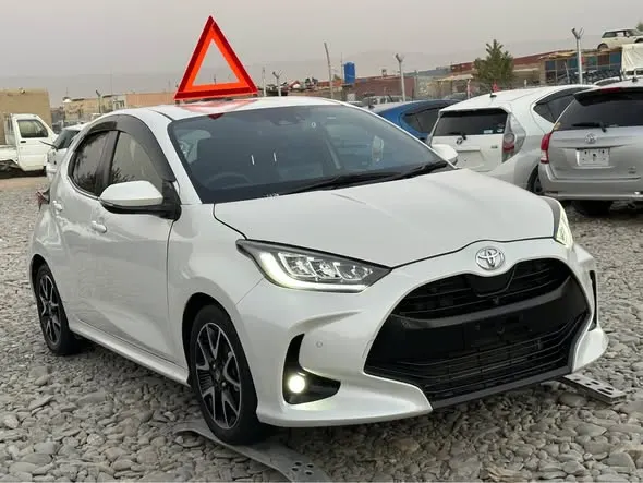 Toyota 2020 (1)
