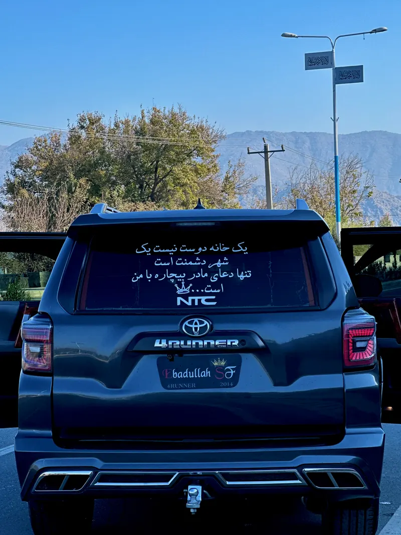 Toyota 4Runner 2011 (3)