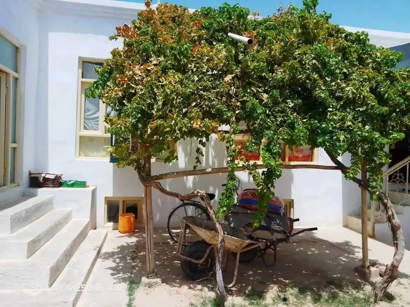 House for sale, 3 rooms, 200 m², Muttahid Township, Mazar-i-Sharif (2)