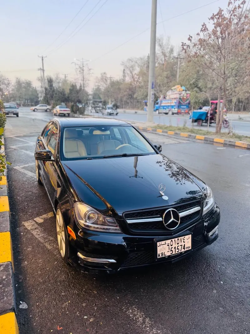 Mercedes-Benz 2014 (1)