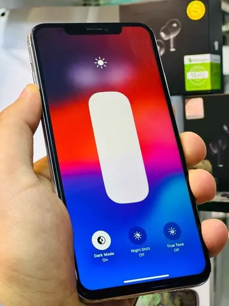 iPhone Xs Max (2)