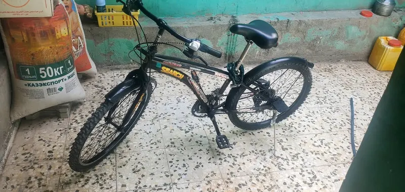 Bicycle For Sale (1)