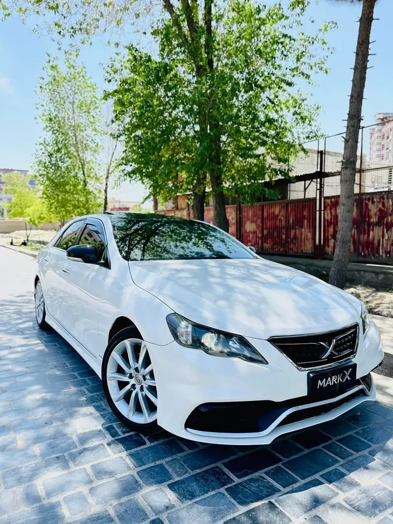 Toyota Mark X 2010 (1)