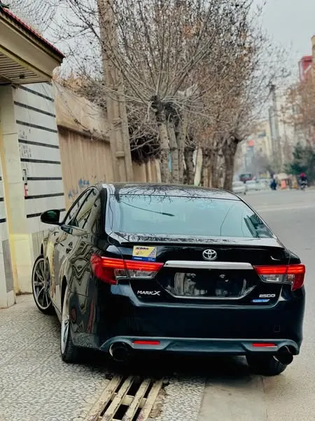 Toyota Mark X 2014 (3)