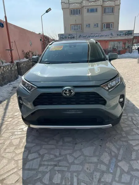 Toyota RAV4 2019 (2)