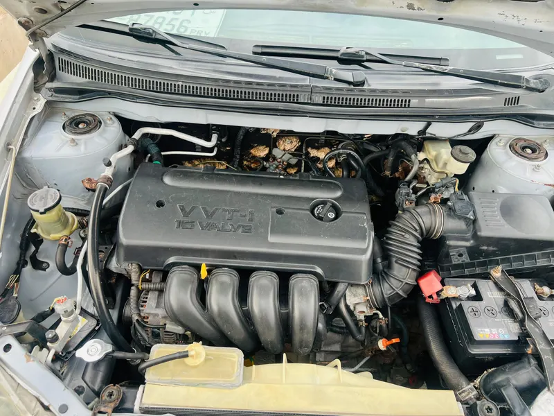 Toyota Corolla S 2007 (6)