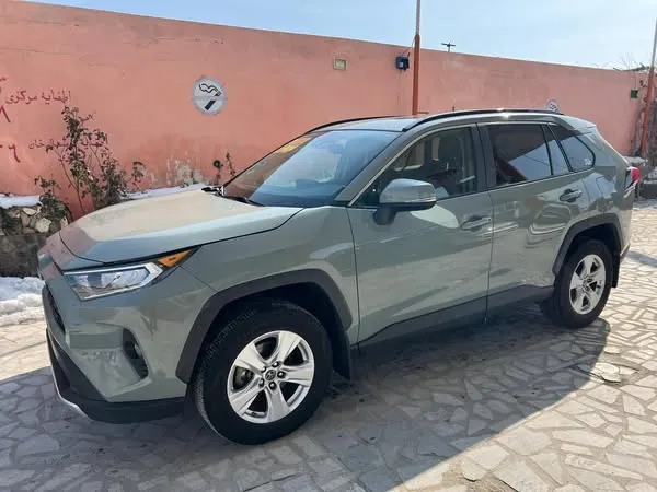Toyota RAV4 2019 (1)