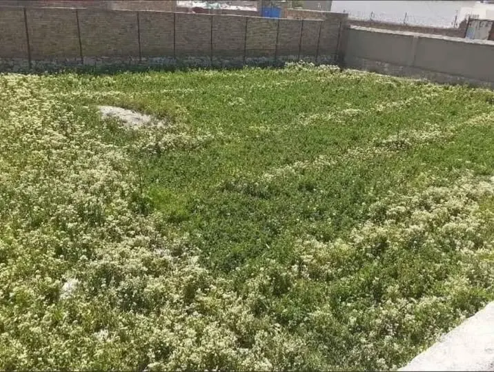 Land for sale, 1200 m² (12 biswa), Nau Burja, Chehelsotoon, District 7, Kabul (1)