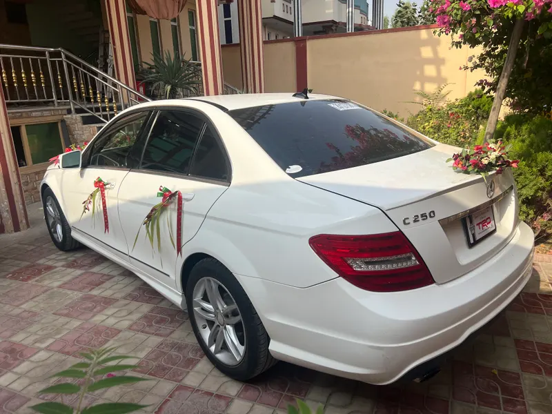 Mercedes-Benz 2014 (2)