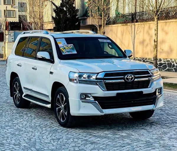 Toyota Land Cruiser 2009 (2)