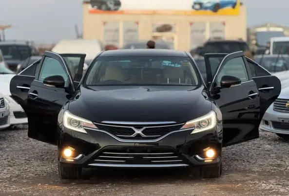 Toyota Mark X Premium 2012 (1)