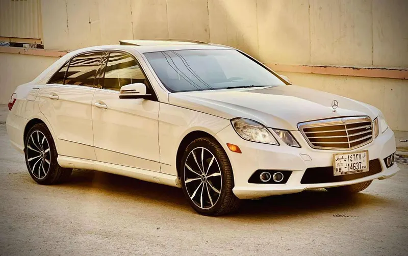Mercedes-Benz 2010 (2)
