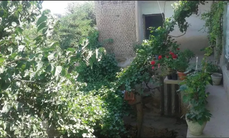 2-storey house for sale, 6 rooms, 3 biswa (3)