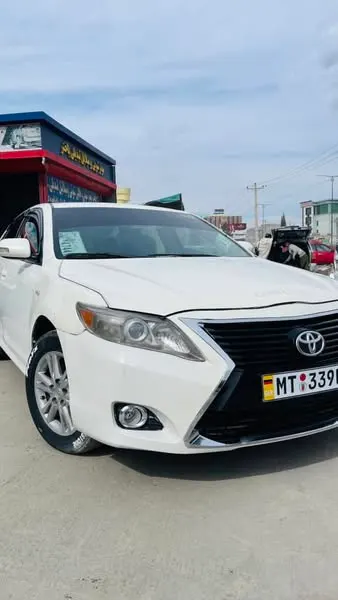 Toyota Camry Sedan 2010 (1)