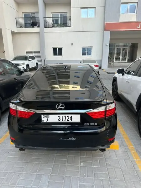 Lexus Sport 2014 (3)