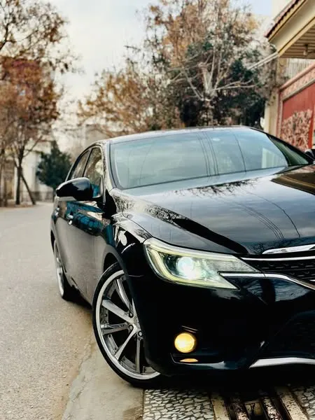 Toyota Mark X 2014 (2)