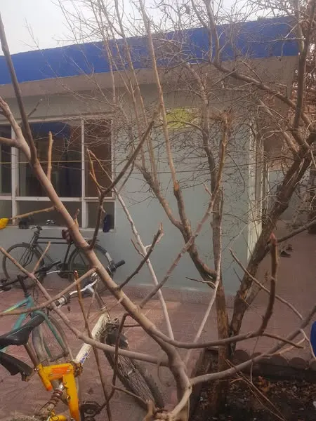 House for sale, 4 rooms, 2.5 biswa (2)