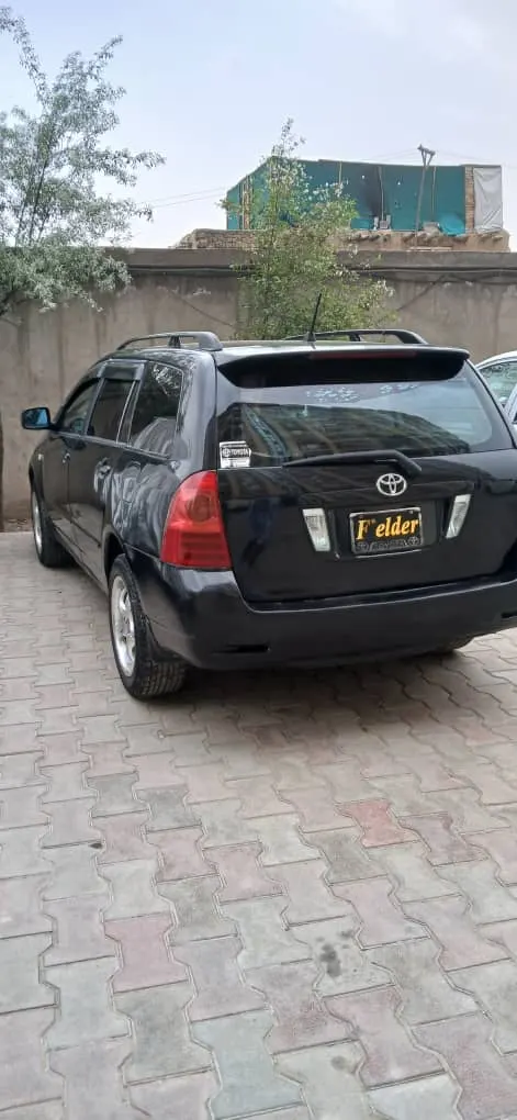 Toyota Fielder 2005 (3)