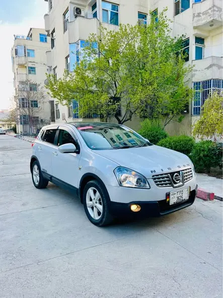 Nissan 2010 (2)