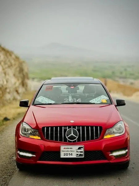 Mercedes-Benz 2014 (2)