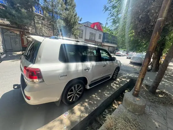 Toyota Land Cruiser 2009 (3)