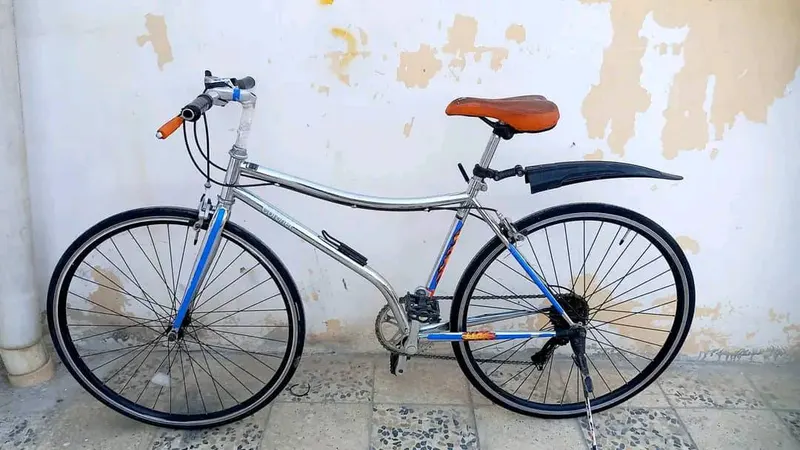 Bicycle For Sale (1)