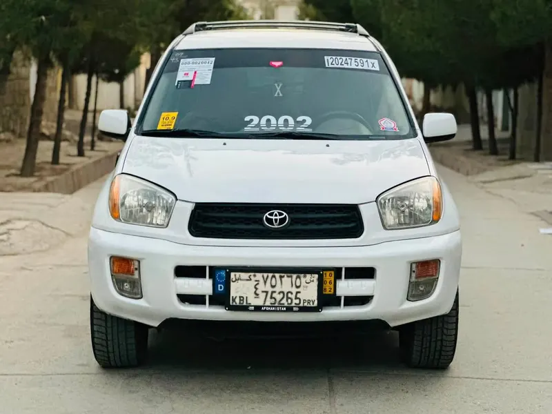 Toyota RAV4 2002 (2)